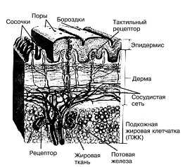 Аннотация научной статьи